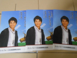  prompt decision * Hikawa Kiyoshi year gold. . person Heart Ford life clear file * 3 pieces set not for sale!