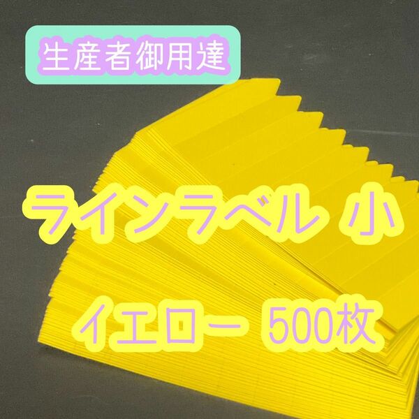 ラインラベル 小 黄 500枚 園芸カラーラベル 多肉植物 エケベリア
