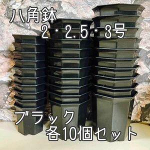 八角鉢黒セット◎各10個◎2号・2.5号・３号 アガベ 多肉植物