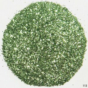 ラメフレーク [113] グリーン系 塗装用 50g ラメパウダー 0.3mm キラキラ メール便/19