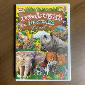 【DVD】 僕らは動物探検隊 富士サファリパークで大冒険 新品未開封