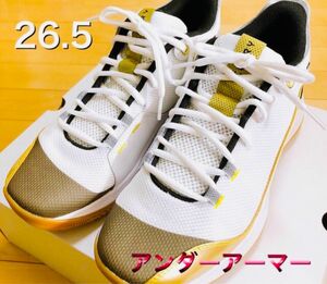 バッシュ アンダーアーマー UA カリーモデル 26.5 美品