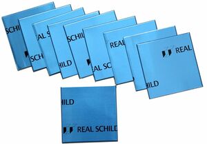  Real Schild /REAL SCHILD cut goods 10cm×10cm size 10 sheets insertion 