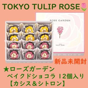 【店舗限定】東京チューリップローズ ローズガーデン 12個 新品未開封