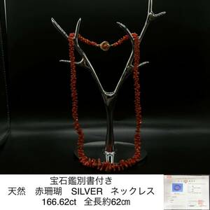 宝石鑑別書付き 天然　赤珊瑚　SILVER ネックレス　（　さんご　サンゴ　） 166.62ct 全長約62㎝ 2859S