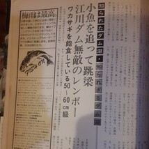 フィッシング別冊付録ダム湖の研究_画像6