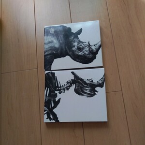 Mr.Children MR.CHILDREN 1992-1995 MR.CHILDREN 1996-2000 ベストアルバム CD 2枚 セット ミスチル 桜井和寿 肉 骨　BEST