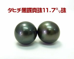 タヒチ黒真珠 11.7ミリ珠　プラチナ製ピアス 卸価格でご奉仕　商品紹介動画あり　送料込み