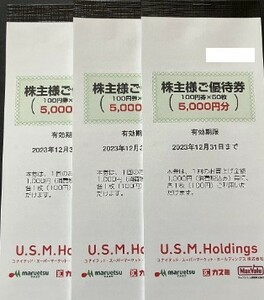 最新　ユナイテッドスーパーマーケット　U.S.M.　マルエツ　カスミ　株主優待券 15000円分　有効期限：2023年12月31日まで　【送料無料】