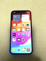 iPhone 12 128GB ブルー SIMフリー版　MGHX3J/A　A2402_画像1