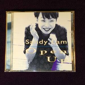 林憶蓮 サンディ・ラム CD／オープン・アップ 1995年 日本盤
