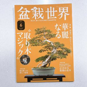 盆栽世界 2021年 06 月号 特集:理想の一鉢が手に入る「取り木マジック」【NU10+】