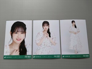 乃木坂46　向井葉月　生写真　人は夢を二度見る　コンプ