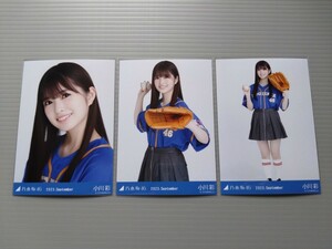 乃木坂46　小川彩　生写真　ベースボールシャツ 2023　コンプ