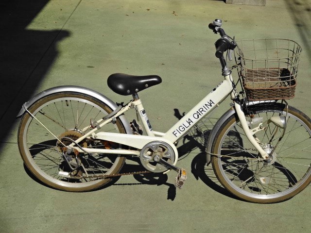 2023年最新】ヤフオク! -20インチ自転車 子供の中古品・新品・未使用品一覧