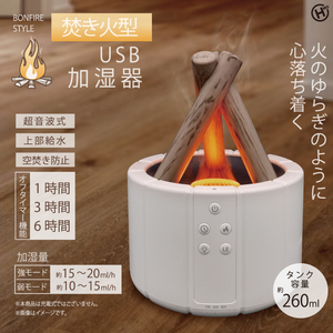 焚き火型 USB 加湿器 HED-2801 おしゃれ リビング 暖炉 子供部屋 超音波加湿器 上部給水 空焚き防止 オフタイマー TV紹介 焚火 たき火