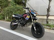 KSR80 ノーマル実働車 11775km（検索用 50 80 110 125 KSR-1 KSR-2 Z125 GROM TDR ミニモト 2st 原付）_画像1