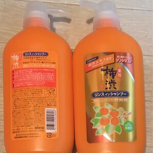 柿渋ノンシリコン リンスインシャンプー 1本