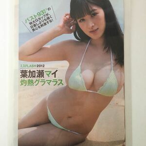 『雑誌グラビア ラミネート加工』Y-1096 葉加瀬マイ(バスト93cm)・黒谷友香(女優) A4 3枚6ページ FLASH 2014年9月2日号 ※15