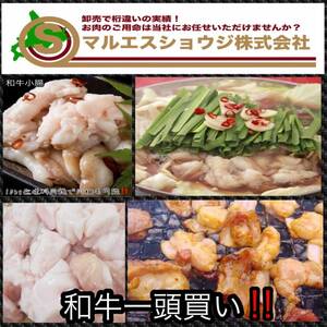 和牛一頭買い！！最安値！国産黒毛和牛小腸（脂付）和牛小腸1.0kg モツ鍋 博多 もつ鍋 和牛ホルモン 和牛 牛小腸 10kg迄送料同額同梱可！！