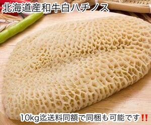 新鮮!!北海道産和牛白ハチノス刺し!!約100gトリッパ料理にも!!冷凍 ホルモン 焼肉 トリッパ BBQ バーベキュー 10kg迄送料同額同梱可！！