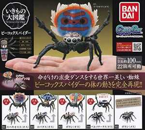 バンダイ いきもの大図鑑 ピーコックスパイダー 全5種類 新品 リアルフィギュア 精巧 蜘蛛 ガシャポン 大人ガチャ 可動します リポルテック