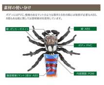 バンダイ いきもの大図鑑 ピーコックスパイダー 全5種類 新品 リアルフィギュア 精巧 蜘蛛 ガシャポン 大人ガチャ 可動します リポルテック_画像10