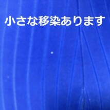 B577ミニアリーナ♪ストレッチ♪イルカデザインの競泳水着♪コスプレやコレクションや撮影会にも♪サイズL_画像6