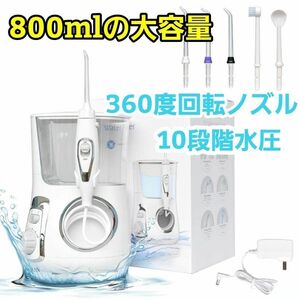 審美 口腔洗浄器 ジェットウォッシャー 歯垢除去 電動 口内洗浄機 大容量 口臭 虫歯 白 歯ブラシ 歯周病 プラーク むしば 