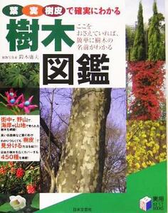 樹木図鑑 葉・実・樹皮で確実にわかる／鈴木庸夫(著者)