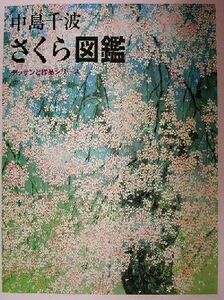 中島千波　さくら図鑑 デッサンと作品シリーズデッサンと作品シリーズ／中島千波(著者),中島美子