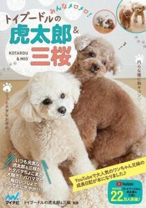  all meromero! toy poodle. . Taro & three Sakura | toy poodle. . Taro & three Sakura (..)