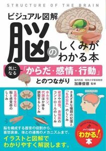 ビジュアル図解　脳のしくみがわかる本 気になる「からだ・感情・行動」とのつながり／加藤俊徳(監修)