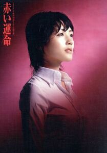 赤い運命　ＤＶＤ－ＢＯＸ／綾瀬はるか,玉木宏,佐藤千亜妃