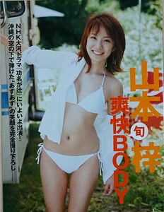 同梱可！ 山本梓 雑誌切り抜き 5P A4サイズ