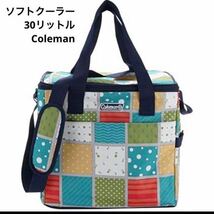 レア【廃盤】コールマン　ソフトクーラー　ミント　30リットル　Coleman 1012-1_画像1