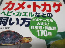 カラー図鑑 カメ・トカゲ ヘビ・カエルなどの飼い方 ビギナーでも大丈夫！は虫類・両生類 170種 成美堂出版 (亀/蛇/蜥蜴/蛙/爬虫類_画像2