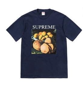 Supreme Still Life Tee M navy Tシャツ 18aw ボトル キャップ 紺 ネイビー madonna box 新品 19ss