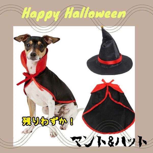 ◆わんちゃんもかわいくコスプレ◆ 小型犬用 ハロウィン 衣装 ドラキュラ マント 