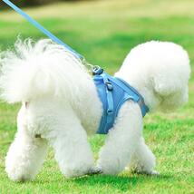 ブラックL ◎ カラフルメッシュハーネス 胴輪 セット ベスト かわいい 小型犬 中型犬 老犬 ペット カワウソ 通気性 柔らかい 安全 光反射_画像3