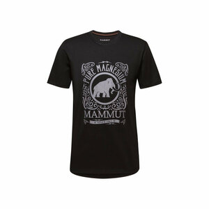 希少 Lサイズ MAMMUT マムート 半袖 ロゴTシャツ メンズ クライミング