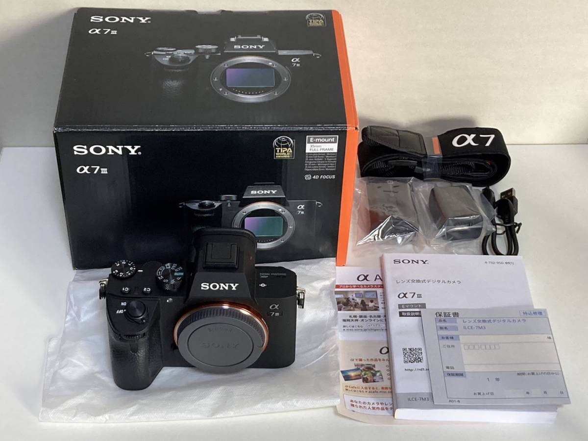 2023年最新】ヤフオク! -α7iii ボディの中古品・新品・未使用品一覧
