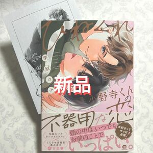 【新品、未読】ひねくれ小野寺くんの不器用な恋　　栗原カナ