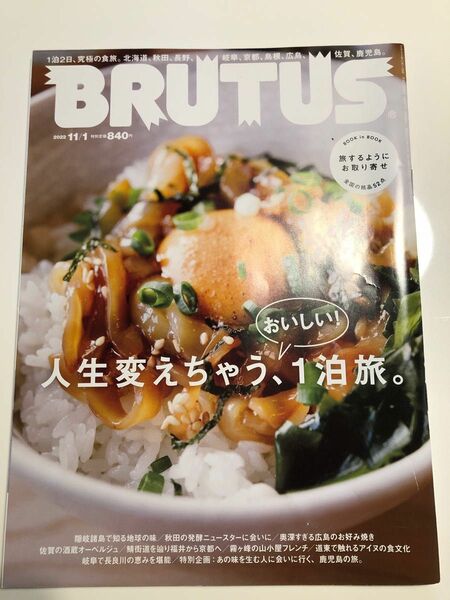 BRUTUS ブルータス 2022/11月号