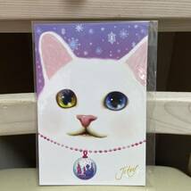 ★新品★JETOY ネコ　ポストカード　ジェトイ　ハガキ　絵葉書　ねこ　猫_画像2