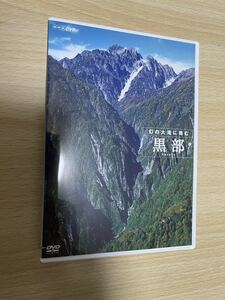 A3/黒部 幻の大滝に挑む [DVD]