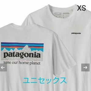 patagonia tシャツ メンズの新品・未使用品・中古品｜Yahoo!フリマ（旧PayPayフリマ）