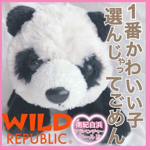 和歌山　アドベンチャーワールド購入　ずっしり、ふんわり　パンダ　ぬいぐるみ