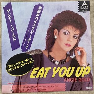 ★シングル アンジー・ゴールド 荻野目洋子 ダンシング・ヒーローの元曲 素敵なハイエナジー・ボーイ Angie Gold Eat You Up 写真ジャケ