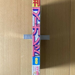 ★週刊マーガレット 1979/2/18 サザンオールスターズ 富塚真弓 弓月光 有吉京子 山本鈴美香 塩森恵子 川崎苑子 柴田あや子 桑田佳祐の画像10